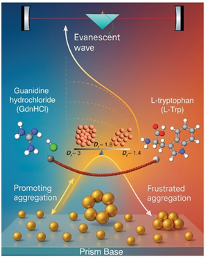A tug of war in gold nanoscale assembly can help produce better biosensors